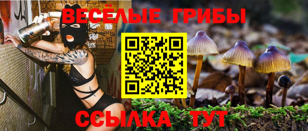 Краснодар  Псилоцибиновые грибы Cubensis  Галлюциногенные грибы Psilocybe  Вход с VPN 